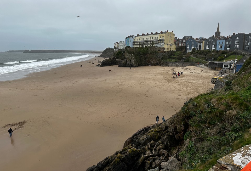 The Council has urged people not to feed birds or drop food in the area