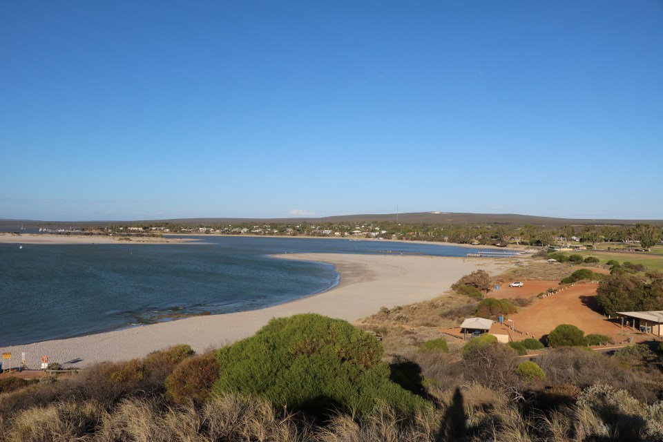 The woman was swimming at Chinaman's Beach in Sydney, Australia, when she was attacked