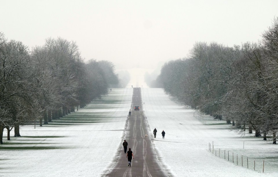 The Long Walk at Windsor covered in a blanket of snow