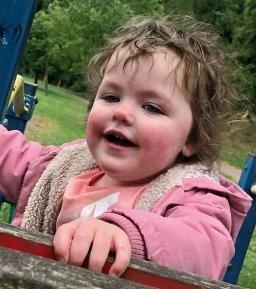 In January this year, four-year-old Alice Stones died after being attacked by a dog in her back garden in Milton Keynes