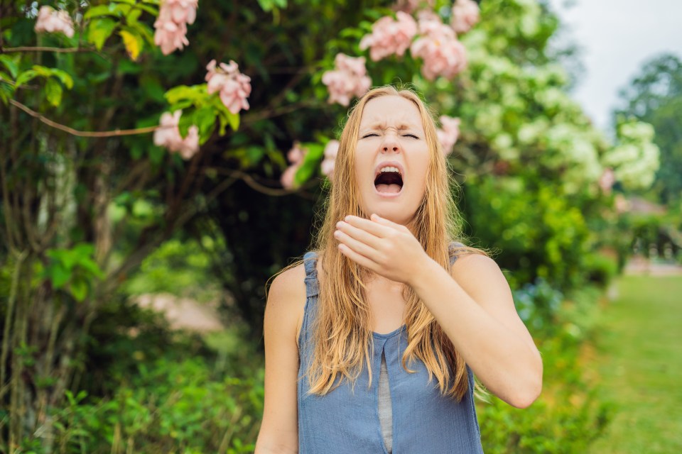 With spring comes new shoots and lots of pollen