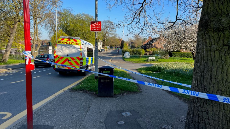 The boy was reportedly stabbed outside Allerton Grange School, Leeds