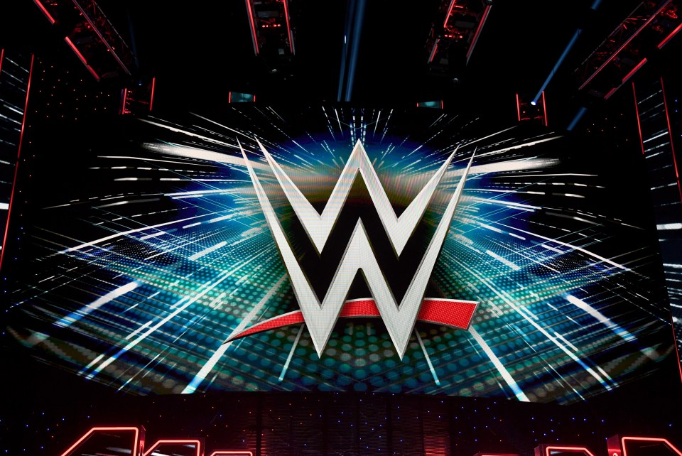 Netflix will start showing live WWE fights in 2025