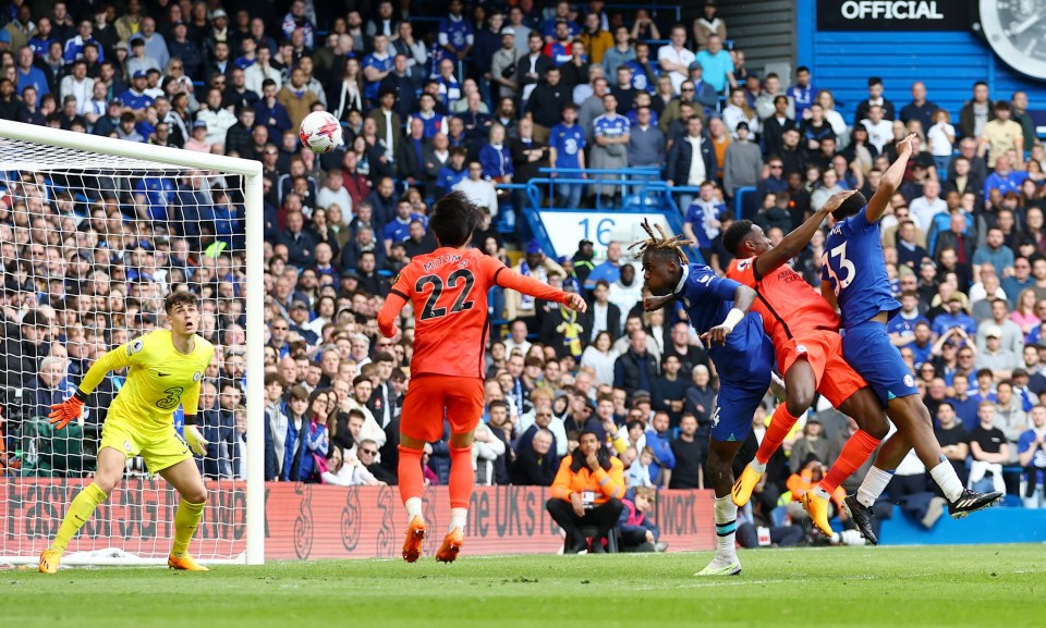 Danny Welbeck headed Brighton level