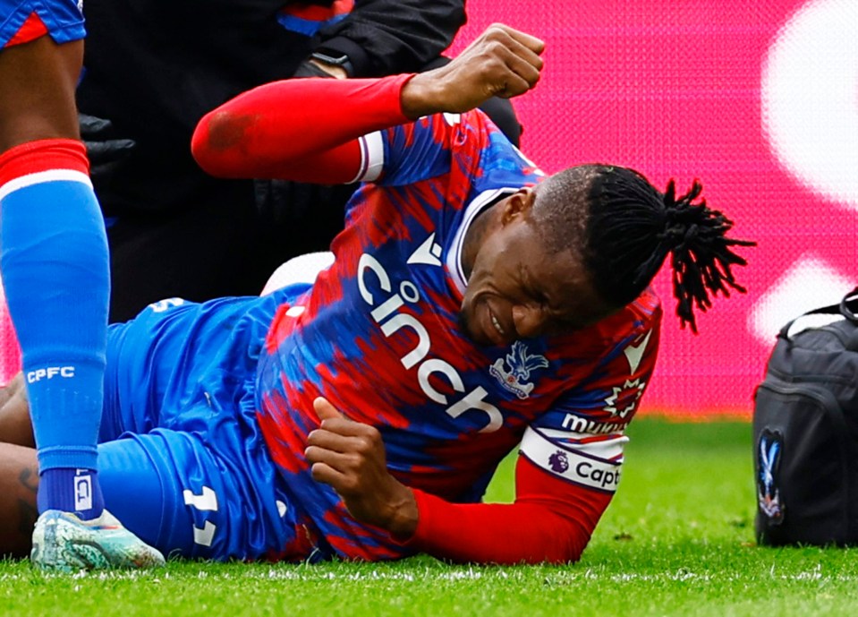 Wilfried Zaha was visibly upset as he sustained an injury