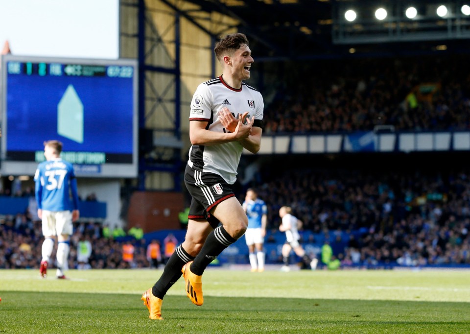 Daniel James helped Fulham end their losing run