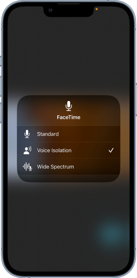 Voice Isolation has been available on FaceTime for a while now