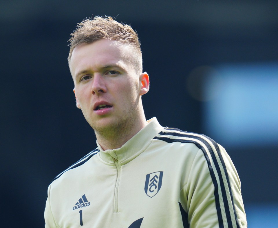 Marek Rodak is looking to move from Fulham