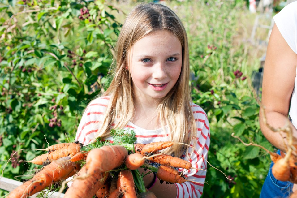 More of us are swapping shops for soil as fruit and veg prices rise