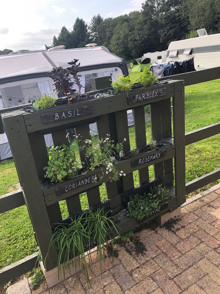 Old wooden pallets make for perfect all-rounders in gardening