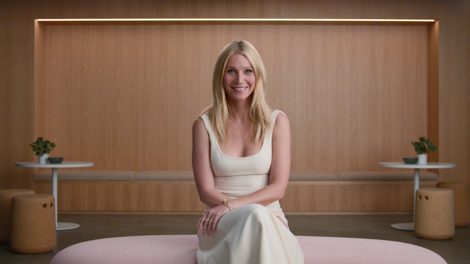 Gwyneth Paltrow has long been running overpriced lifestyle platform Goop that sells vagina-scented candles