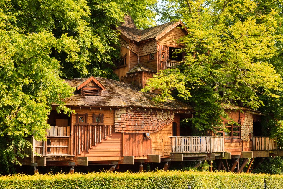 Alnwick treehouse restaurant is the largest wooden structure in Europe