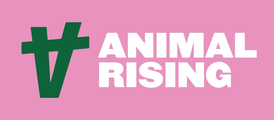 Animal welfare group Animal Rising allegedly use Just Stop Oil's training building in Dalston