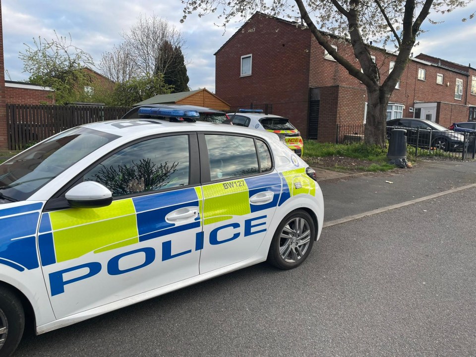 Just yesterday armed police swarmed a Birmingham school after hounds attacked six people