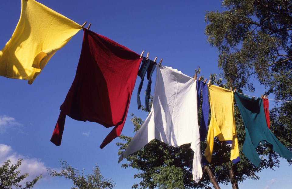 Laundy expert Sarah Dempsey advises hanging your washing out 'as early in the day as possible' to get the best result