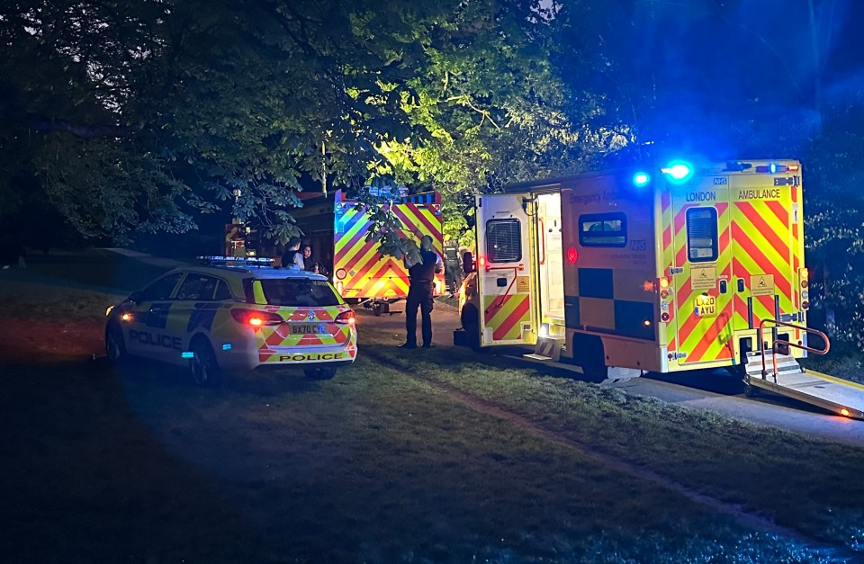 A teenager was impaled on a wrought iron fence in Hyde Park