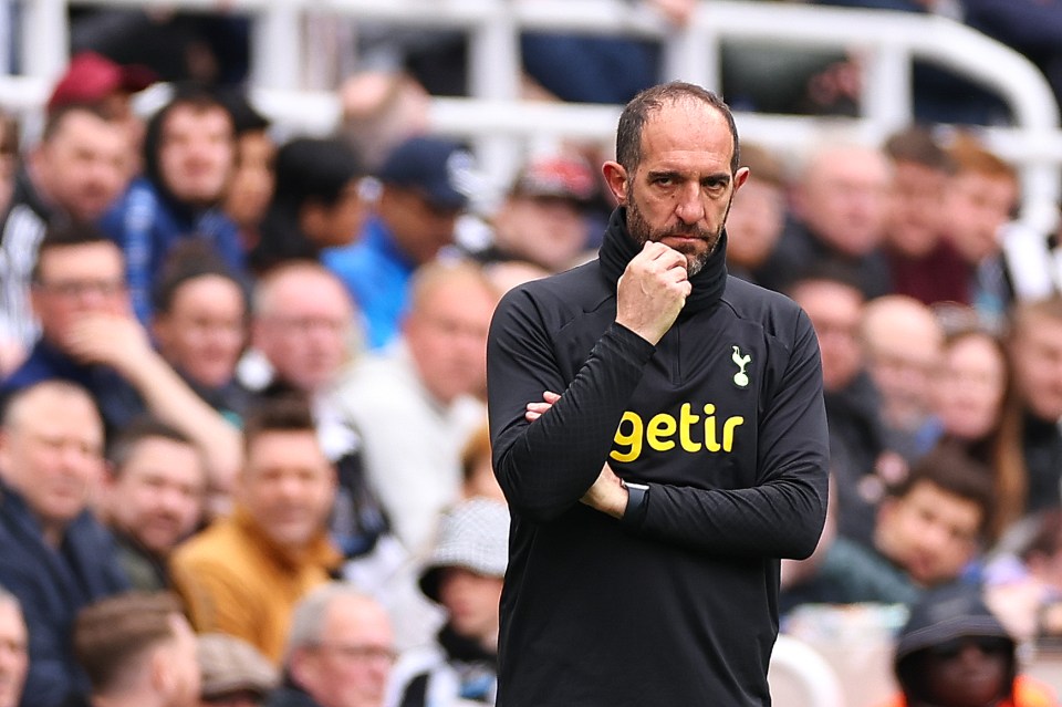 Cristian Stellini is the latest manager to be axed by Spurs