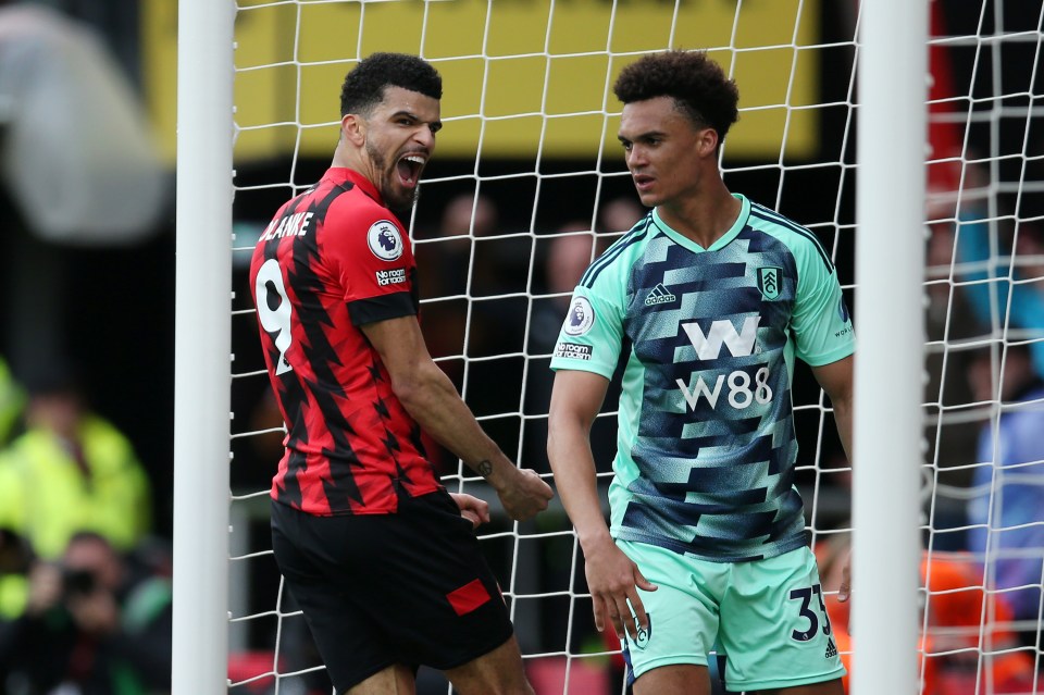 Solanke's strike lifted Bournemouth out of the bottom three