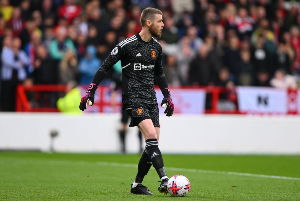 Manchester United star David de Gea has agreed on a new deal