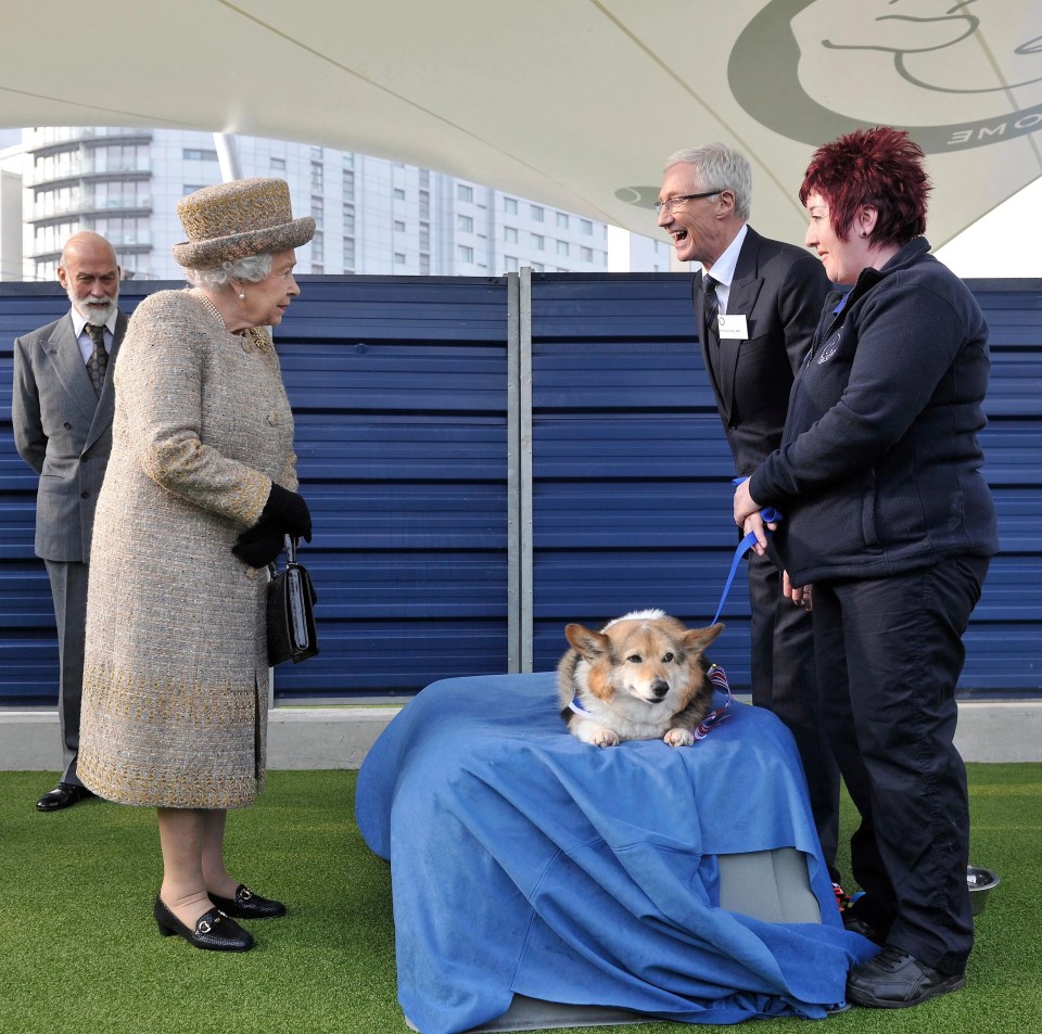 Beama the Corgi meets O’Grady and the Queen