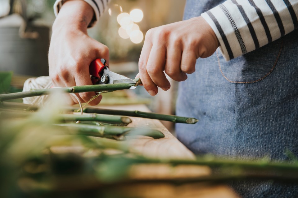 Extend your flowers’ life and keep their beauty around for longer with these cheap tips