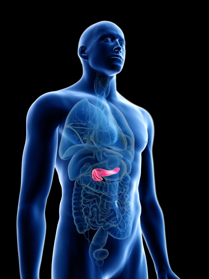 Diets high in saturated and trans fats can interfere with the pancreas' ability to produce and respond to insulin