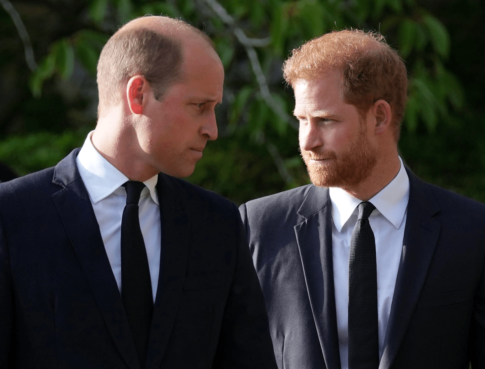 Sources say Harry and William's rift could worsen at the coronation