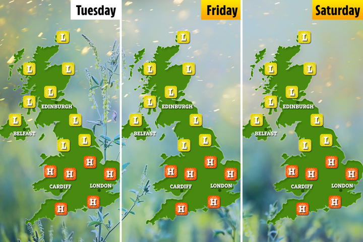 The maps show which areas in the UK have higher levels of pollen over the next few days