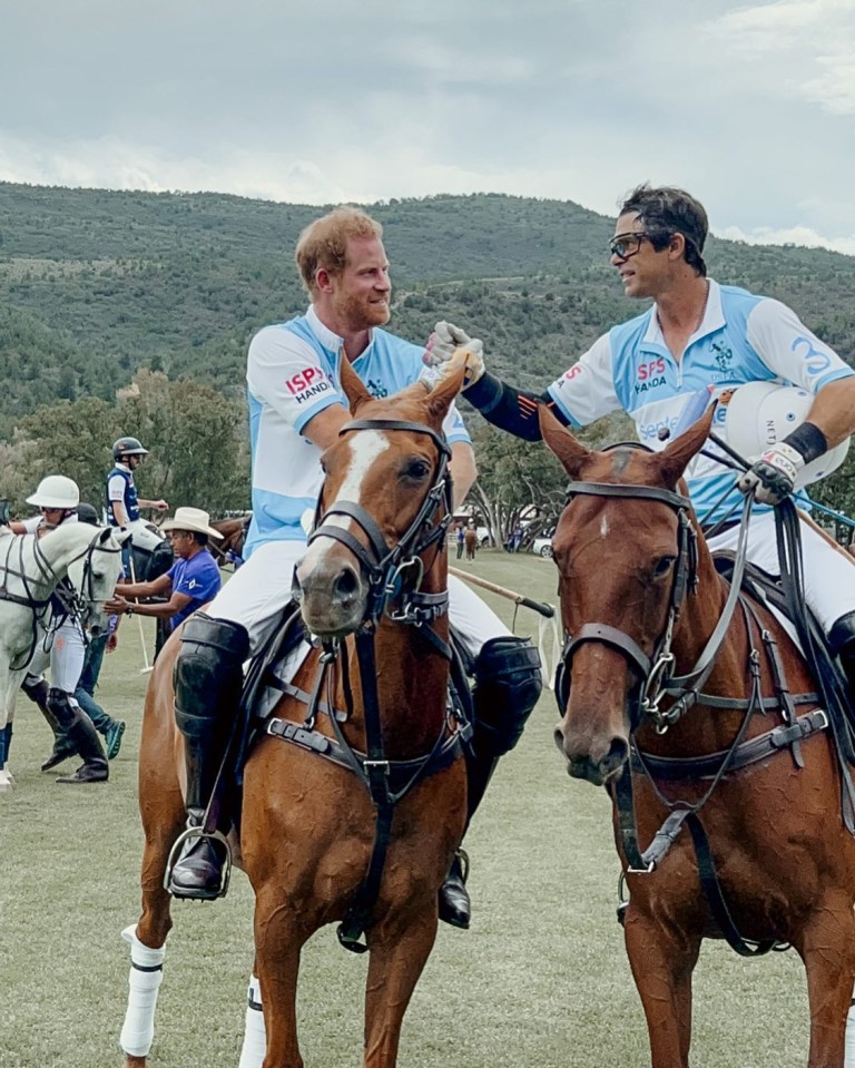 He plays polo with Harry