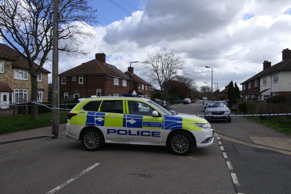 A teen was knifed to death on Longshaw Road in Chingford