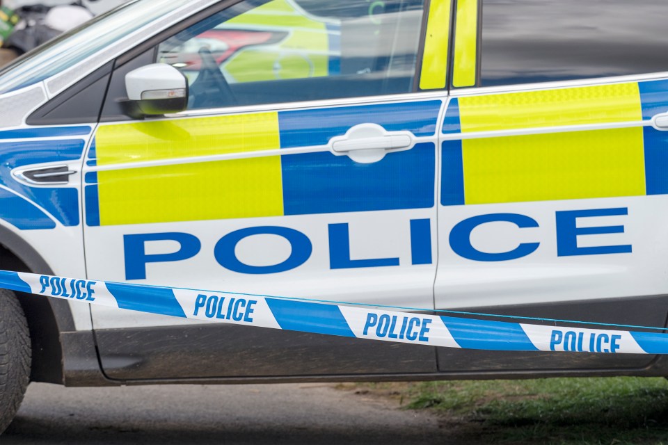 A man was killed when a car hit a tree in the early hours of yesterday