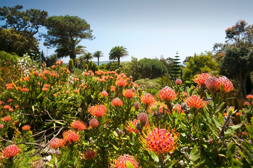 One of Charles' favourite British holiday spots is the Scilly Isles