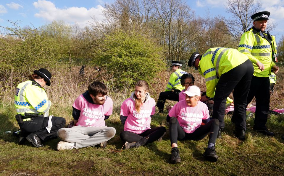 The protestors - who donned pink shirts - were eventually put in handcuffs