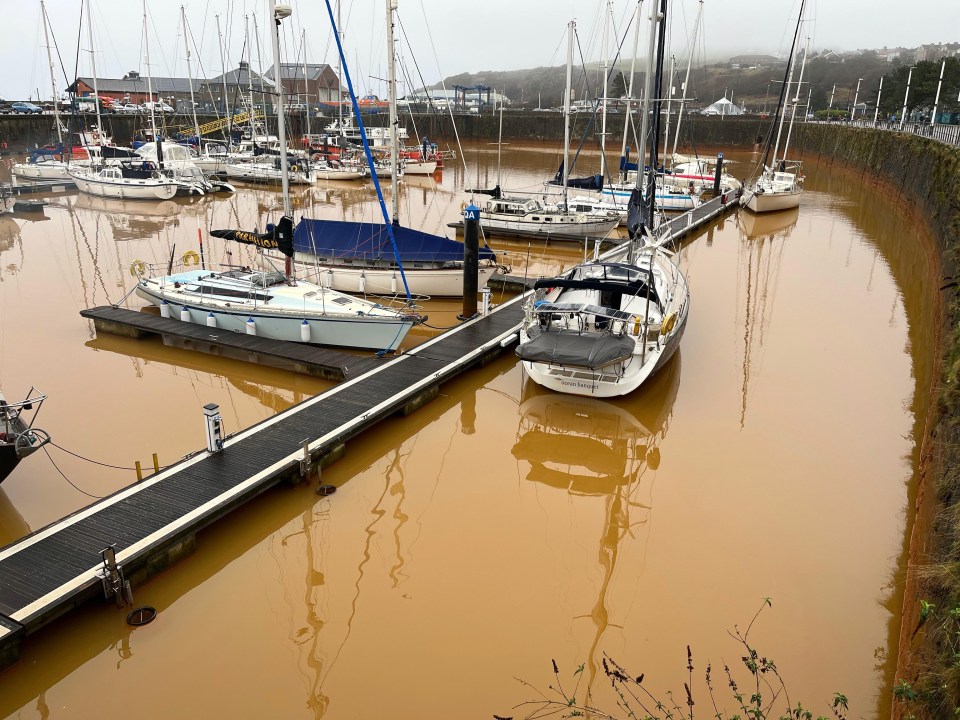 Whitehaven Harbour residents are scratching their heads after the seaside town’s water turned orange