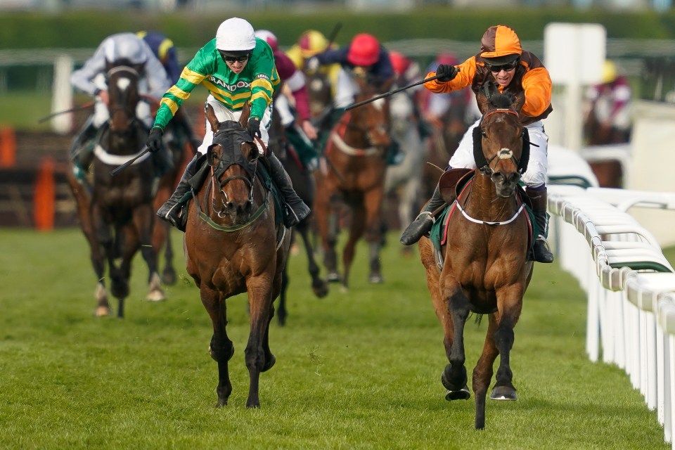 More than 100 eco-activists are plotting to storm the Grand National on April 15