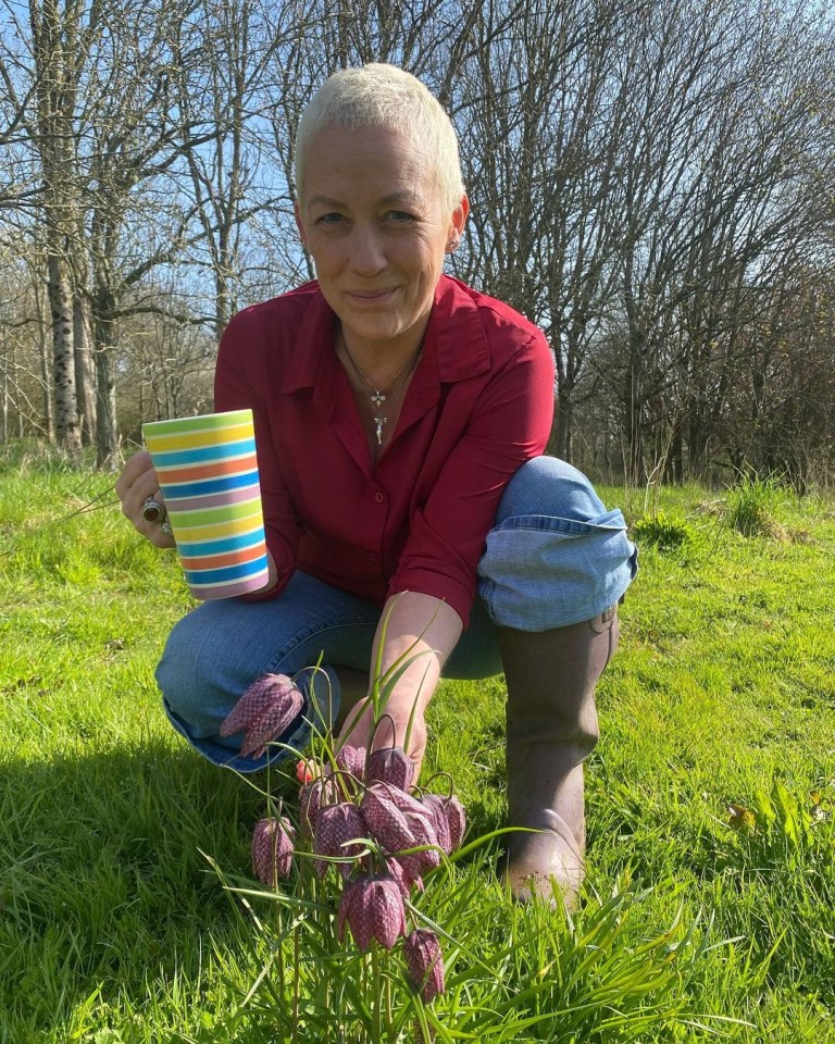 Sarah Beeny has been working on her home while also going through breast cancer