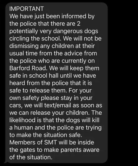 A Birmingham school was locked down yesterday after ‘killer’ hounds ‘circled’ it