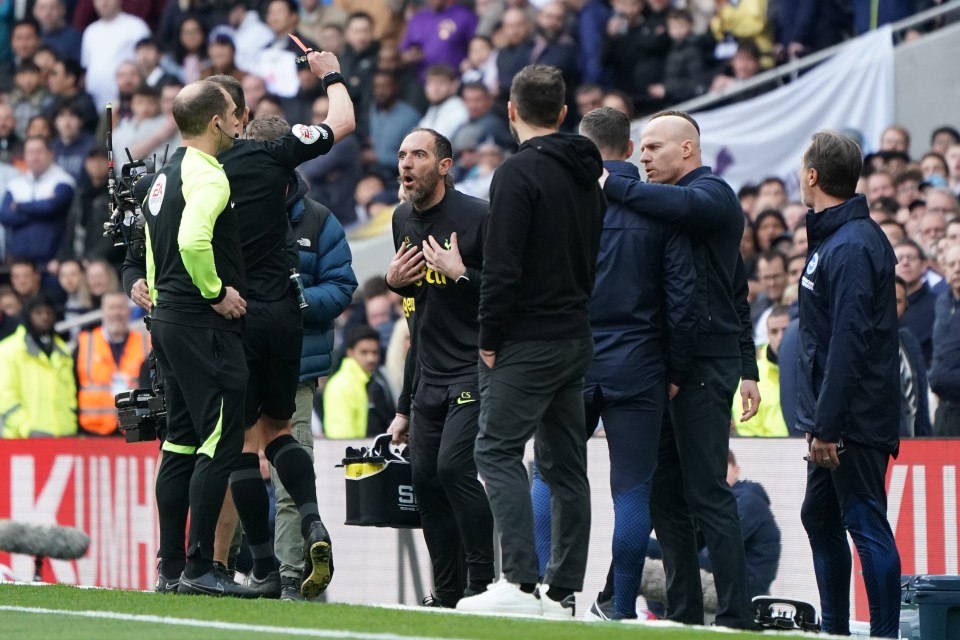 Both managers were sent off after the fight