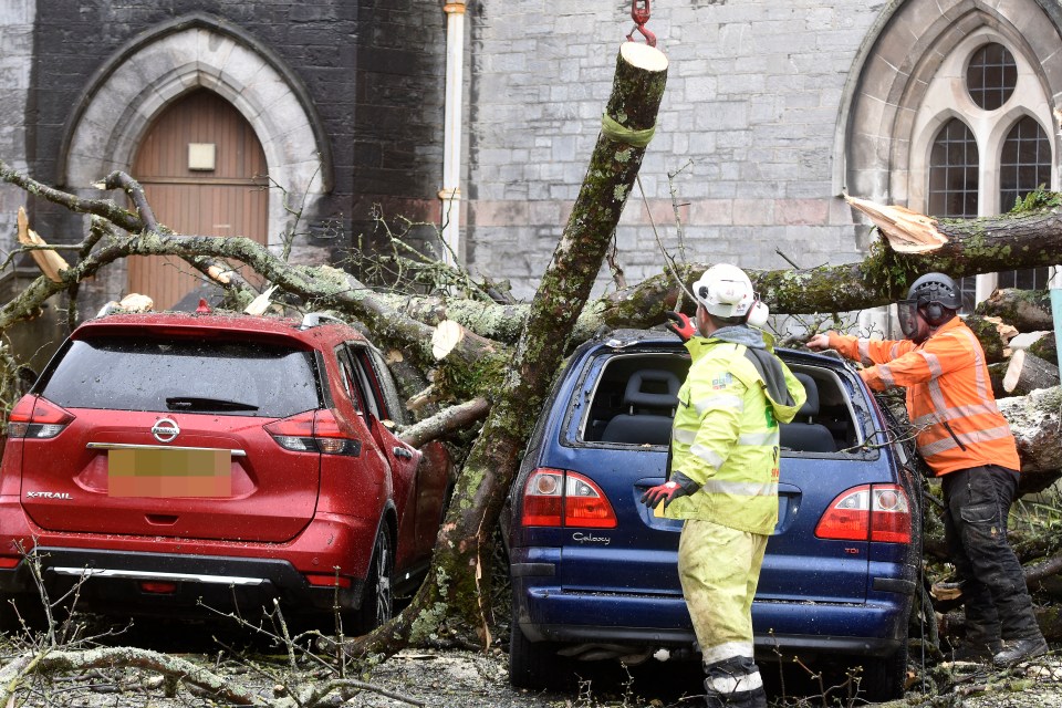 More trees come down in Plymouth as storm Noa causes chaos