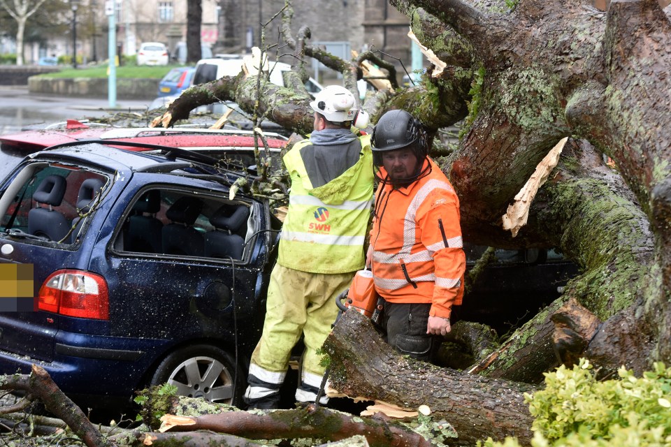 Three vehicles were damaged in the Plymouth Guildhall carpark