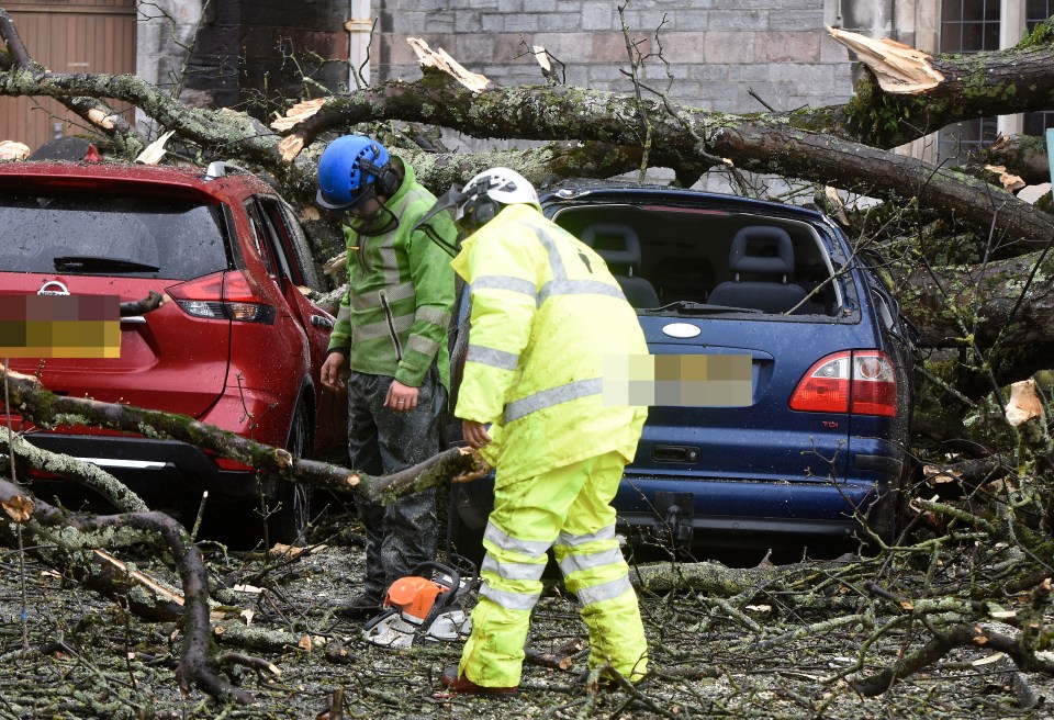 Trees damaged cars in Plymouth in the aftermath of the storm today