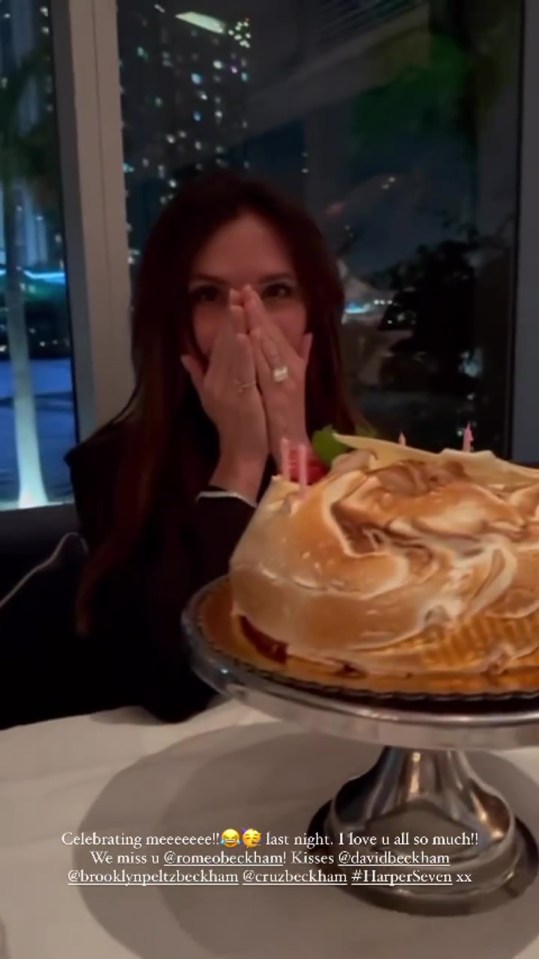 David joked 'she does eat cake' as the birthday girl was treated to an epic meringue