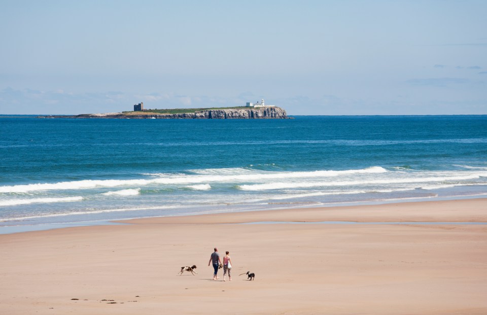 The village of Bamburgh lies on the Northumberland coast opposite the Farne Islands