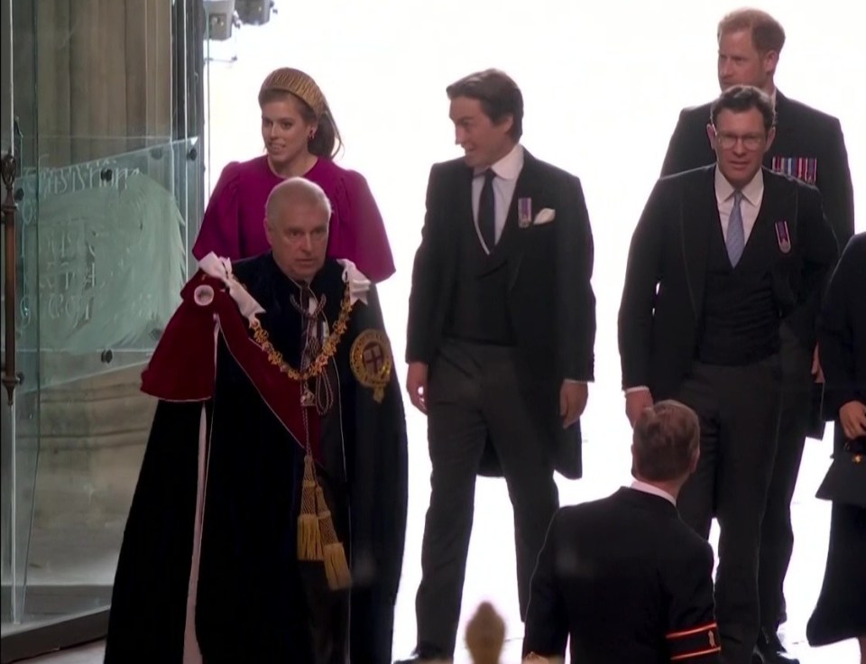 Prince Andrew turned out wearing ceremonial robes