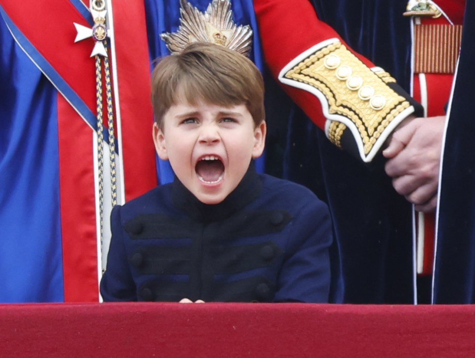 Prince Louis didn't seem too thrilled by the noise