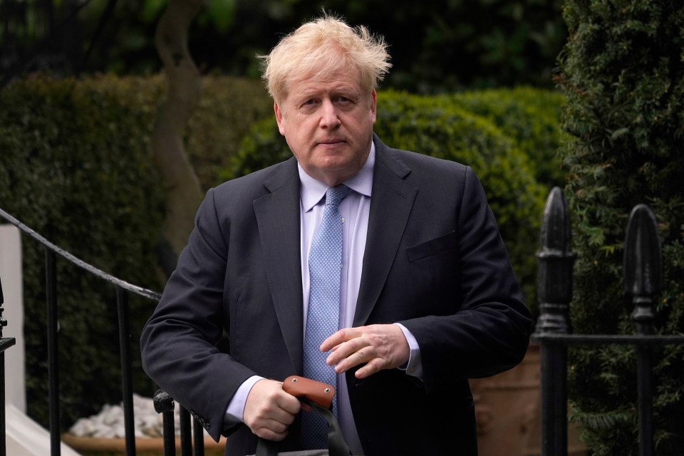 Boris Johnson demanded his pandemic texts and diaries are handed to the public inquiry in full