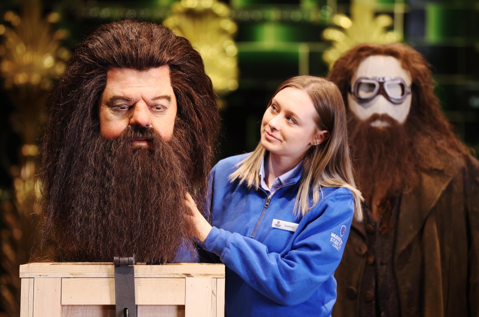 Many Hagrid scenes were shot with an ex-rugby player who wore an animatronic head