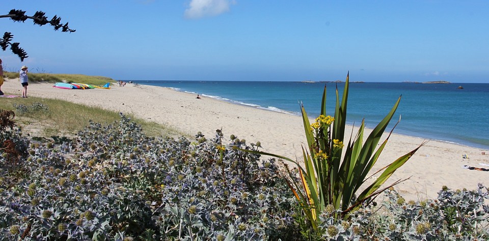 The serene Shell Beach in Herm