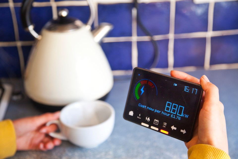 Two cups of tea a day adds up to an annual energy spend of just under £40