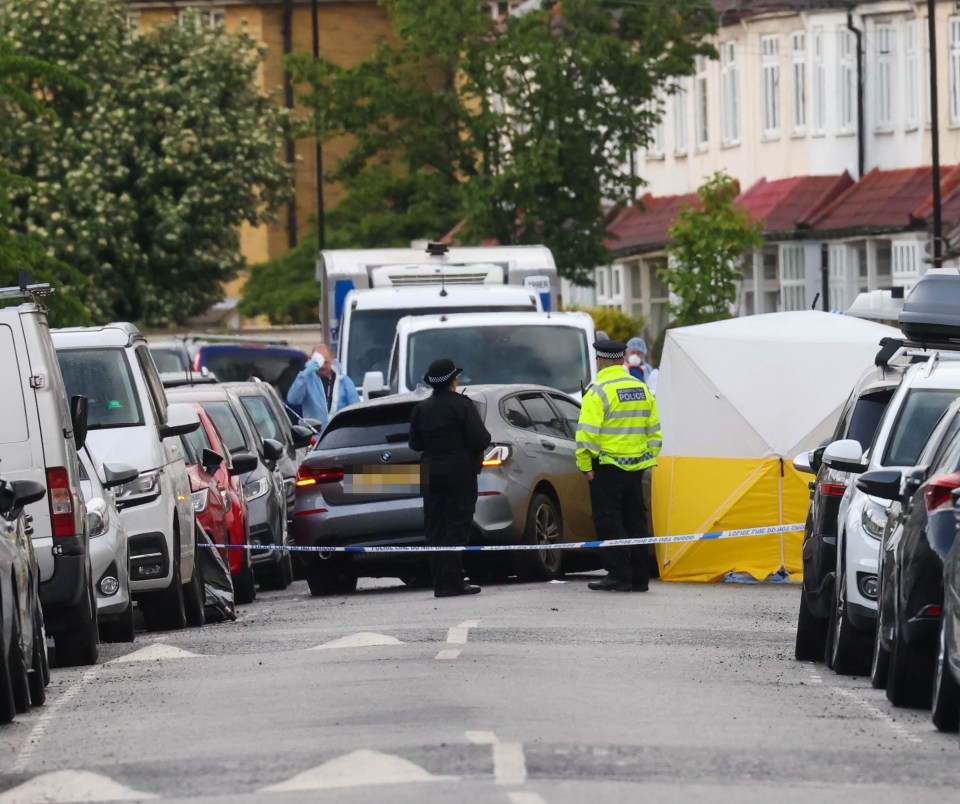 Four people have been arrested after a man was stabbed to death in Lewisham